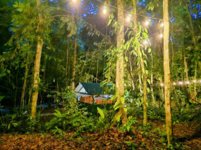 Cool Waters Jungle Bungalow